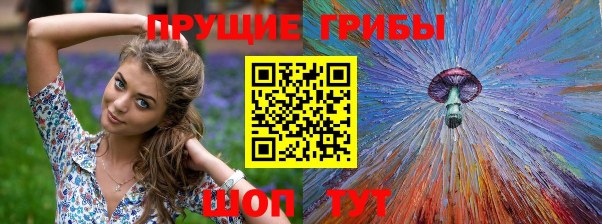 Псилоцибиновые грибы Psilocybe  Вход с VPN  Галлюциногенные грибы ЛСД  Кунгур 