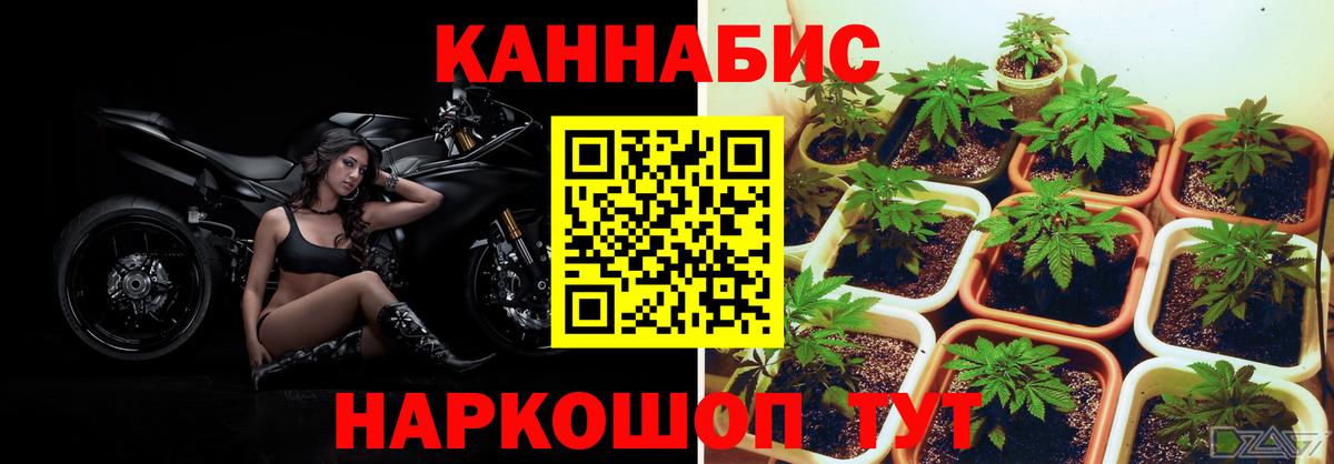 Бошки Шишки AK-47  Канабис LSD WEED  Вход с VPN  Марихуана ГИДРОПОН  Бошки марихуана планчик  Кунгур 